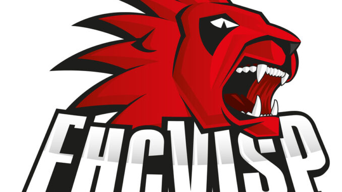 logo Viege resize
